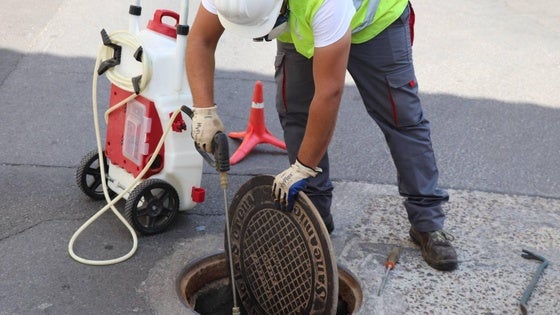Intensifican los trabajos contra las plagas de cucarachas