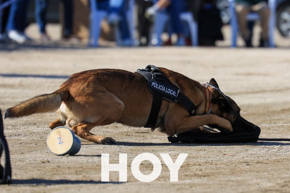 La Policía Local presume de su Unidad Canina en su 175º aniversario