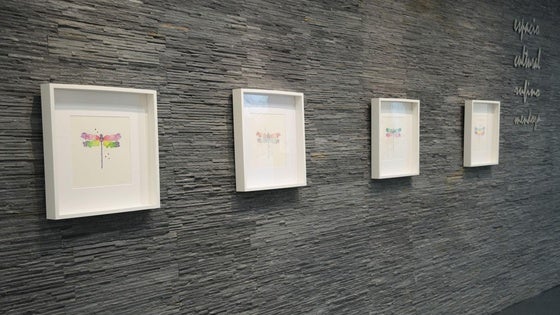 María José Pascual expone sus 'Alas cromáticas' en el Espacio Rufino Mendoza