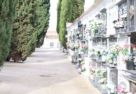 El Ayuntamiento destina 87.000 euros para nuevos nichos en el cementerio