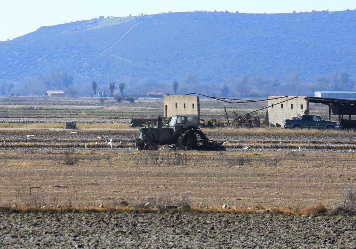 Agryga alerta del aumento de robos en el campo