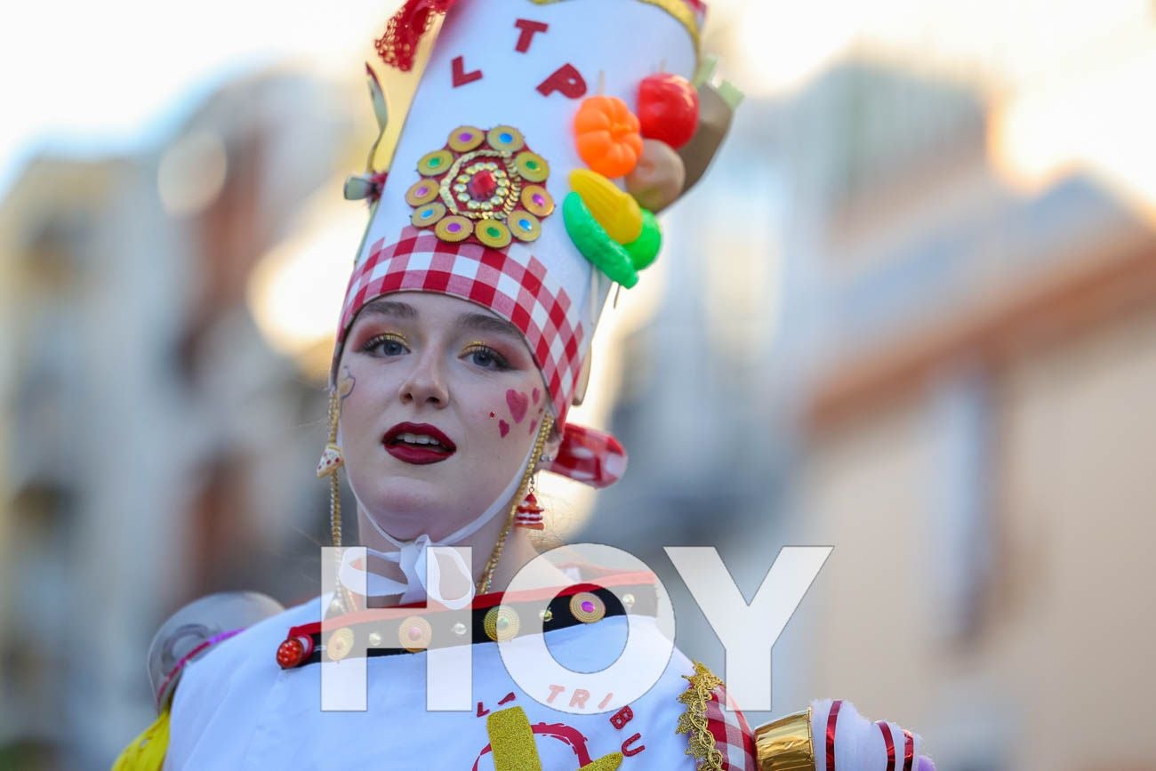 Fotos | Desfile de comparsas del Carnaval de Villanueva 2026 (II)