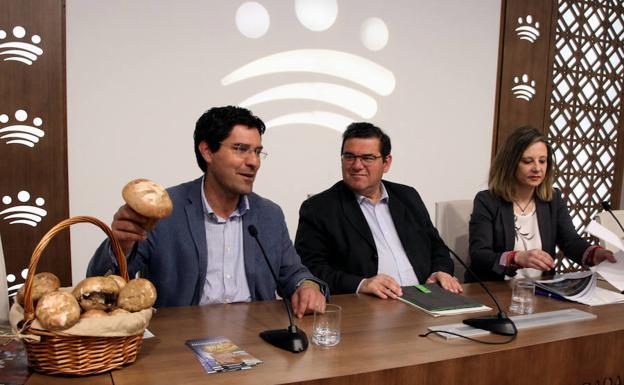 Presentación de las XIII Jornadas en la sala de prensa de Diputación.