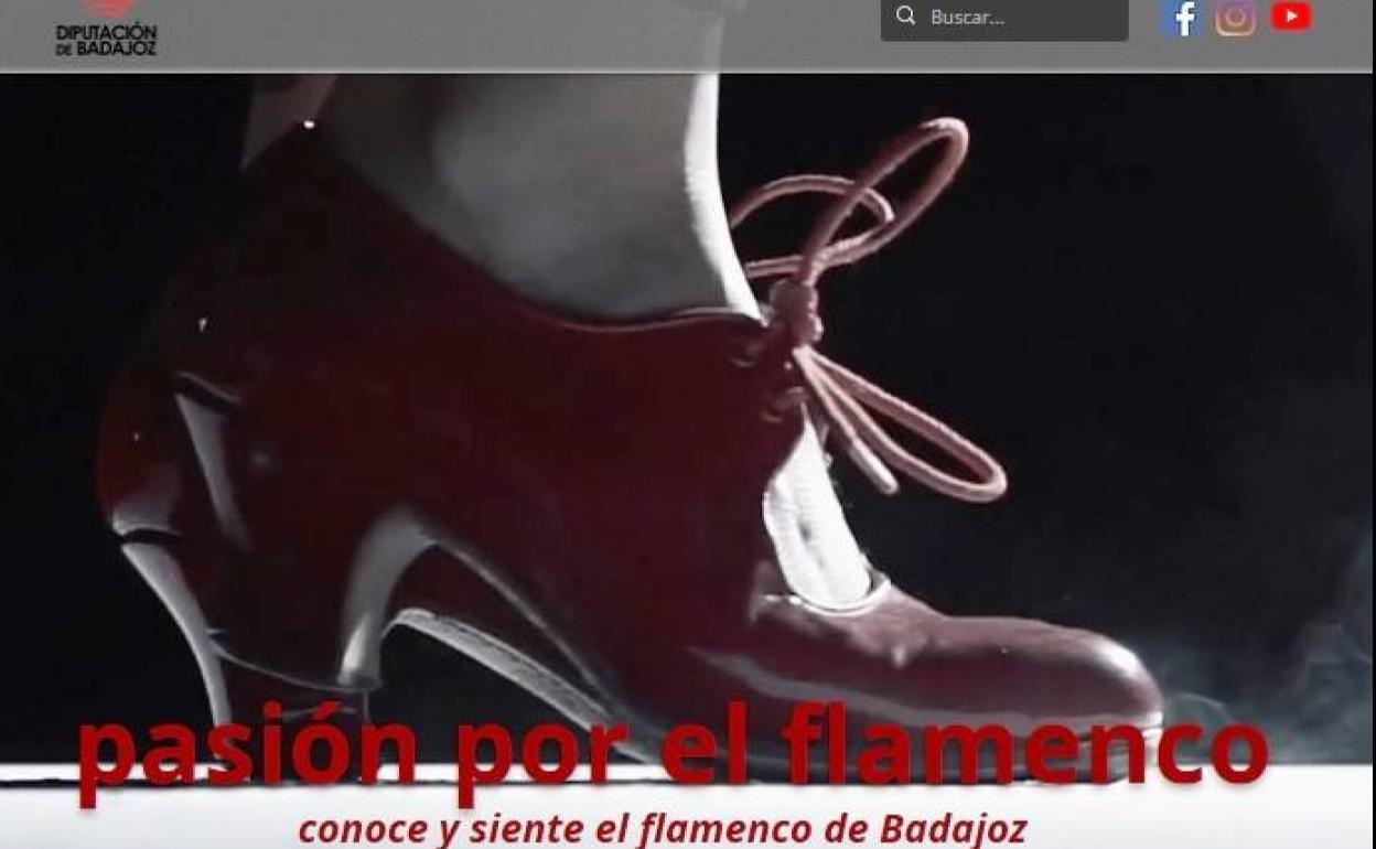 La Diputación acerca el flamenco a todos los aficionados a través de una web