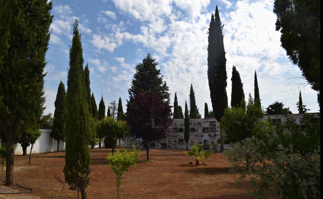 Interior del Cementerio Municipal.