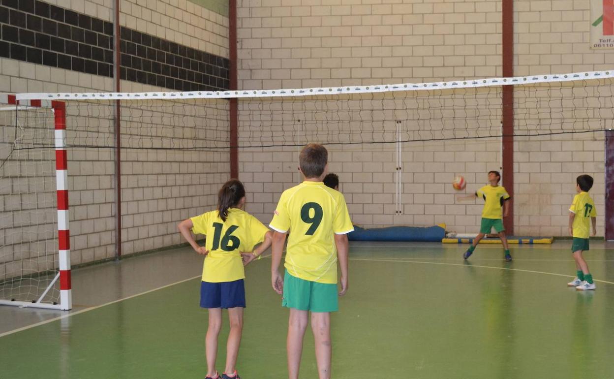 Jóvenes de 12 a 16 años participarán en el programa 'Diviértete Extremadura' local