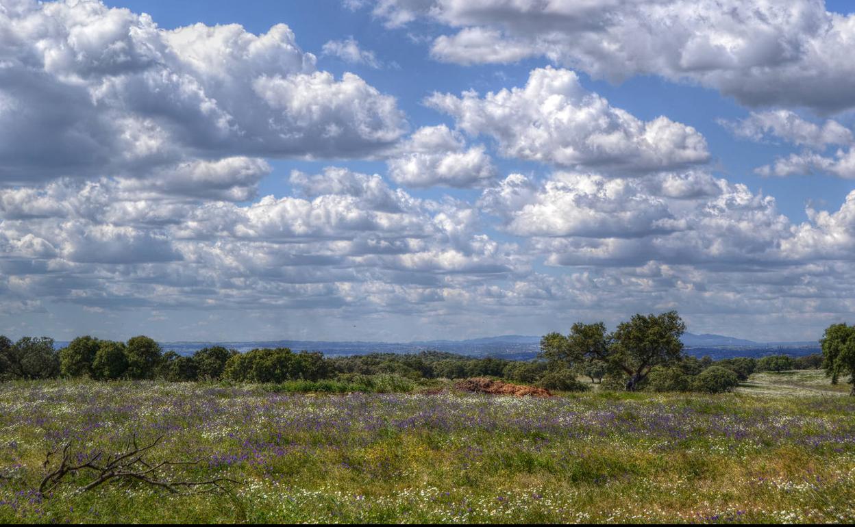 La AEMET prevé una primavera con temperaturas superiores a los valores normales