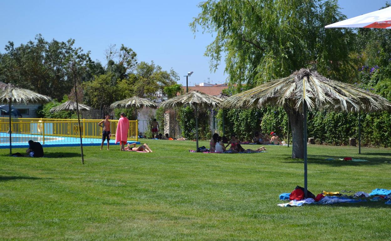 Zona de césped de la Piscina Municipal.