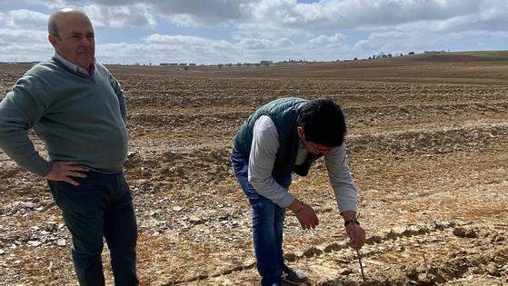 'Figos del Fresno' comienza la siembra de 100.000 higueras en los Bienes Comunales