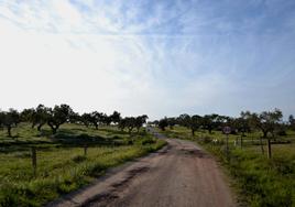 Vereda de Calvino, imagen de archivo.