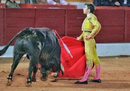 Perera en plena faena.
