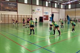 Partido de voley en el pabellón municipal, imagen de archivo.