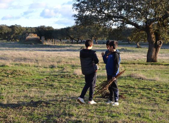 El Ayuntamiento y el AMPA Nuevo Futuro organizan una salida para recoger gamonas