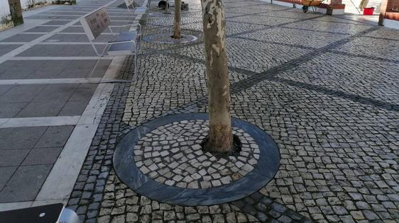 El Ayuntamiento pavimenta los alcorques de la plaza con granito