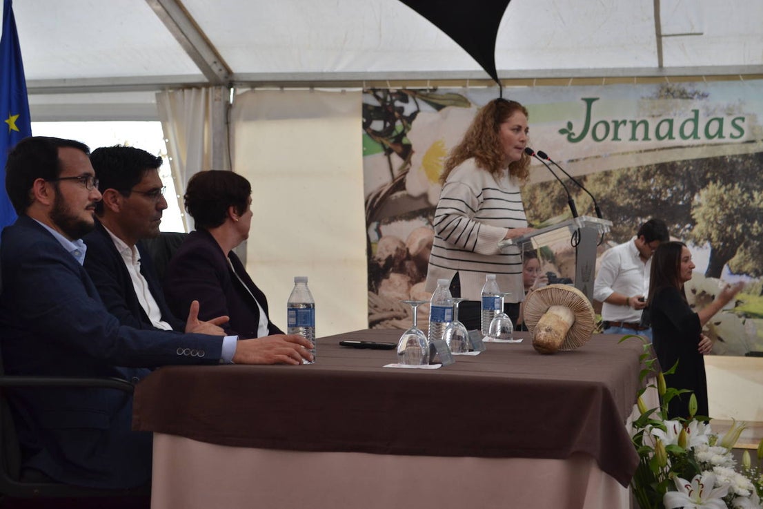 La XVIII Feria del Gurumelo cumple con las expectativas y recibe un aluvión de visitantes