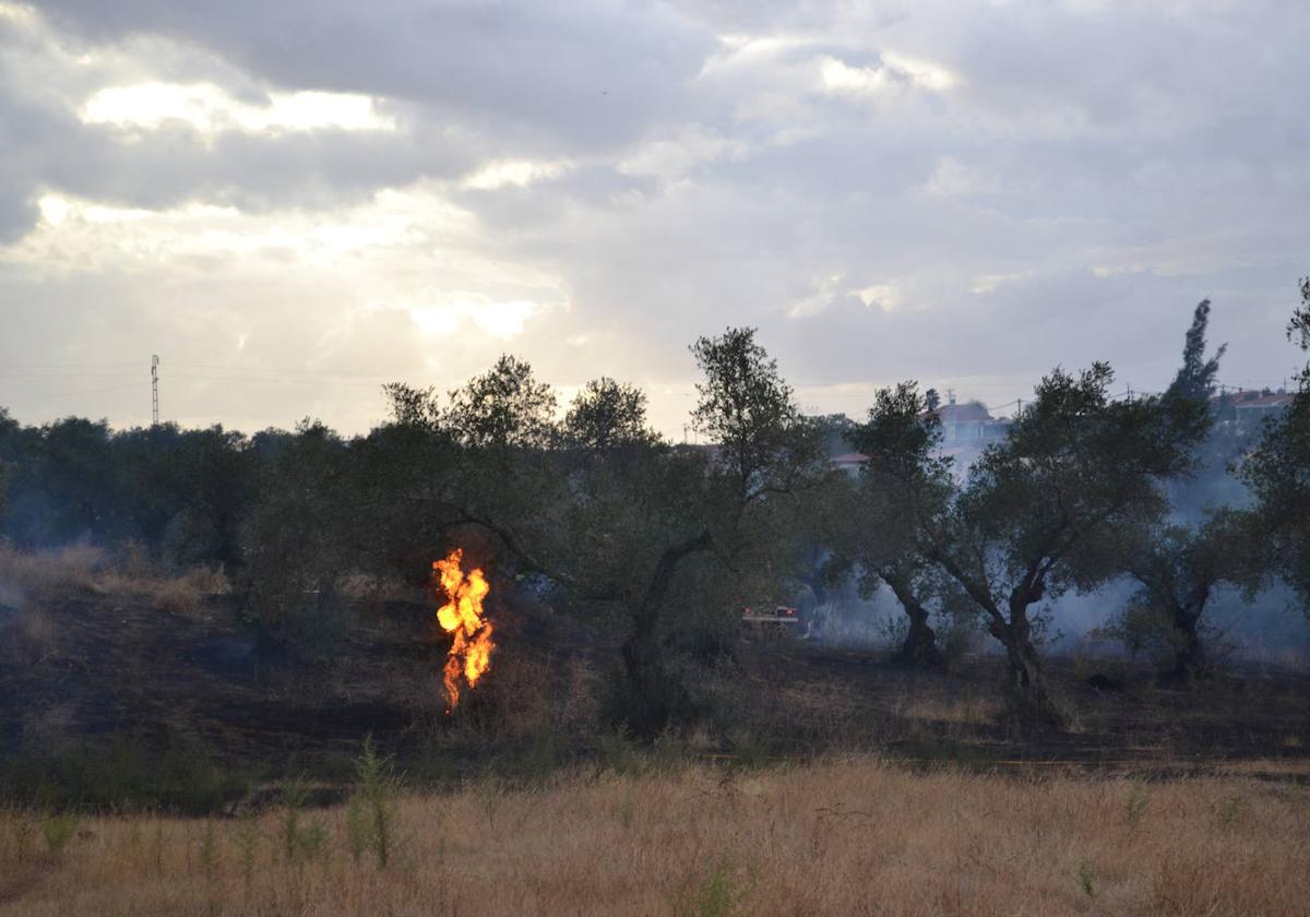 Imagen de archivo de un fuego en la localidad.