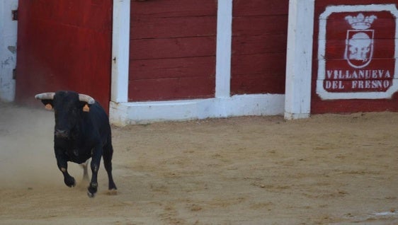 El cartel de los festejos taurinos de la Feria será presentado en la plaza de España