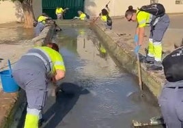 Limpieza del pilar de La Mora por alumnos del Programa.