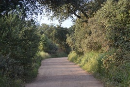 Camino rural de la localidad.