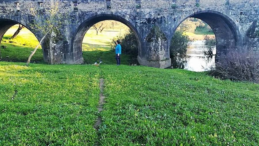 Estado actual del Puente de la Bogaña. CEDIDA