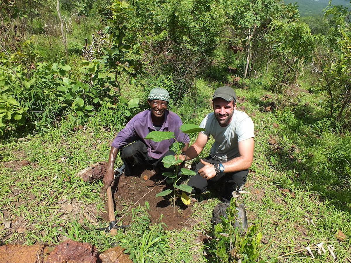 Labores de reforestación