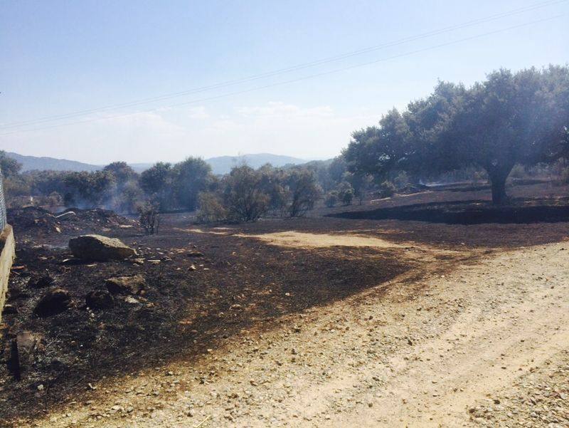 Incendio en Oliva de Plasencia