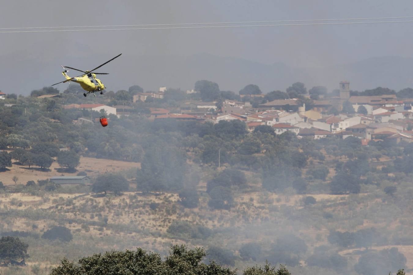Domingo 17 de agosto: Un incendio en Oliva de Plasencia obliga a desalojar naves y viviendas. El viento cambiante durante la tarde complicó la extinción de un fuego que rodeó el pueblo. Andy Solé