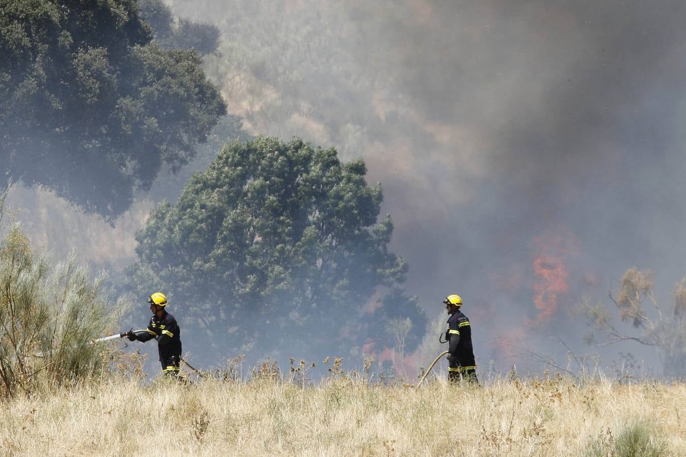 Domingo 17 de agosto: Un incendio en Oliva de Plasencia obliga a desalojar naves y viviendas. El viento cambiante durante la tarde complicó la extinción de un fuego que rodeó el pueblo. Andy Solé