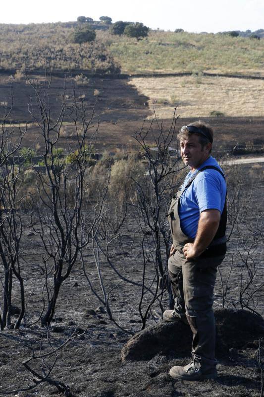 Incendio en Oliva de Plasencia