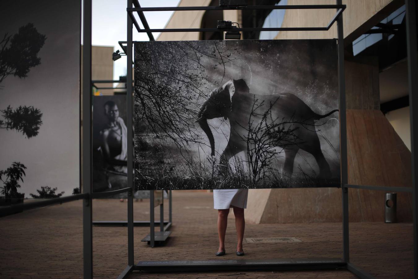 Miércoles 3 de septiembre: Con motivo de la exposición en Brasil del trabajo 'Genesis', el fotógrafo brasileño Sebastiao Salgado donó la fotografía "xamas no Xingu" al gobierno brasileño durante un acto celebrado en el Palacio de Itamaraty, en Brasilia. REUTERS / Ueslei Marcelino