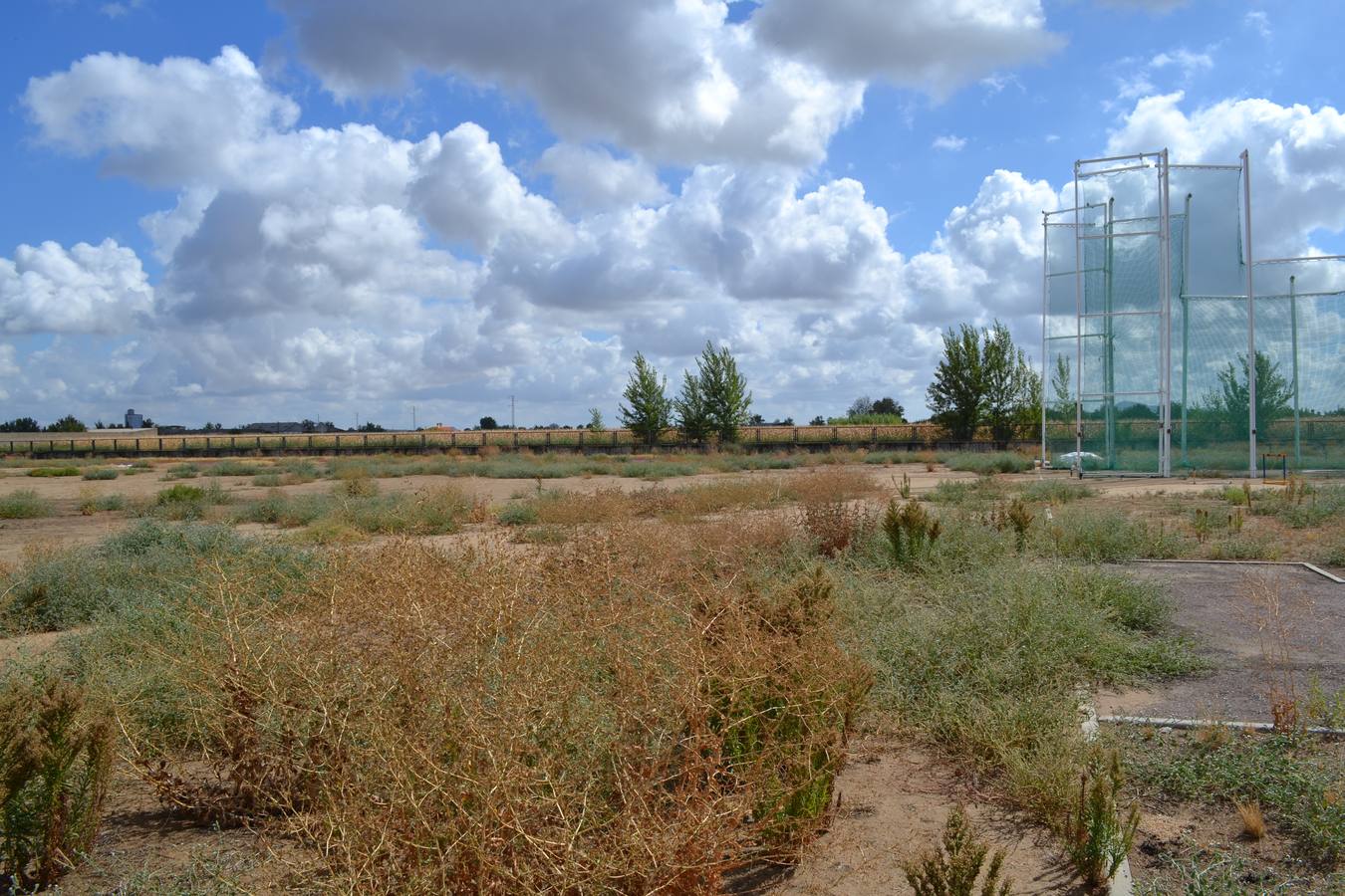 Estado de las instalaciones del Club de Atletismo de Montijo