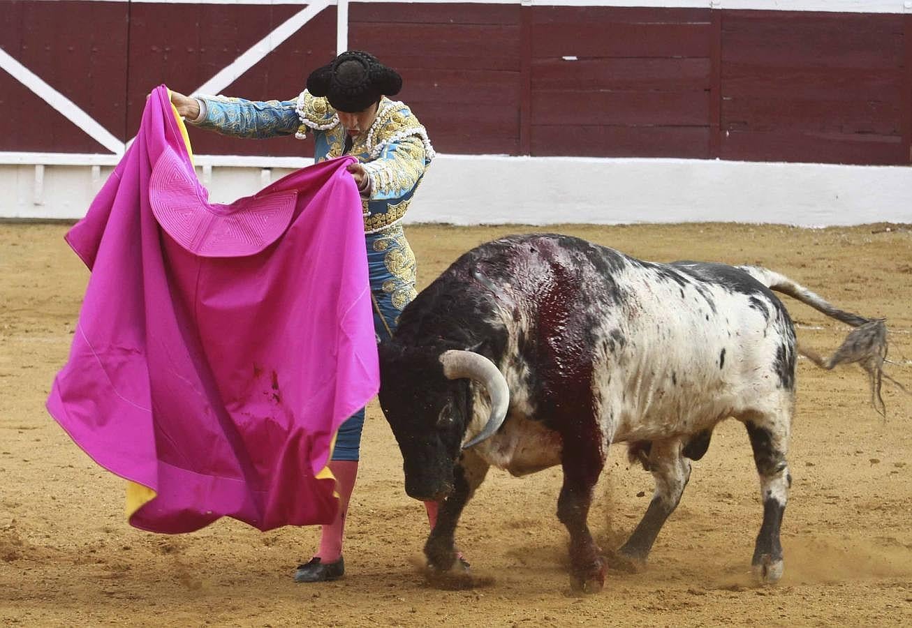 Las mejores imágenes de la corrida de Zafra: &#039;El Juli&#039;, Perera y Pepe Moral