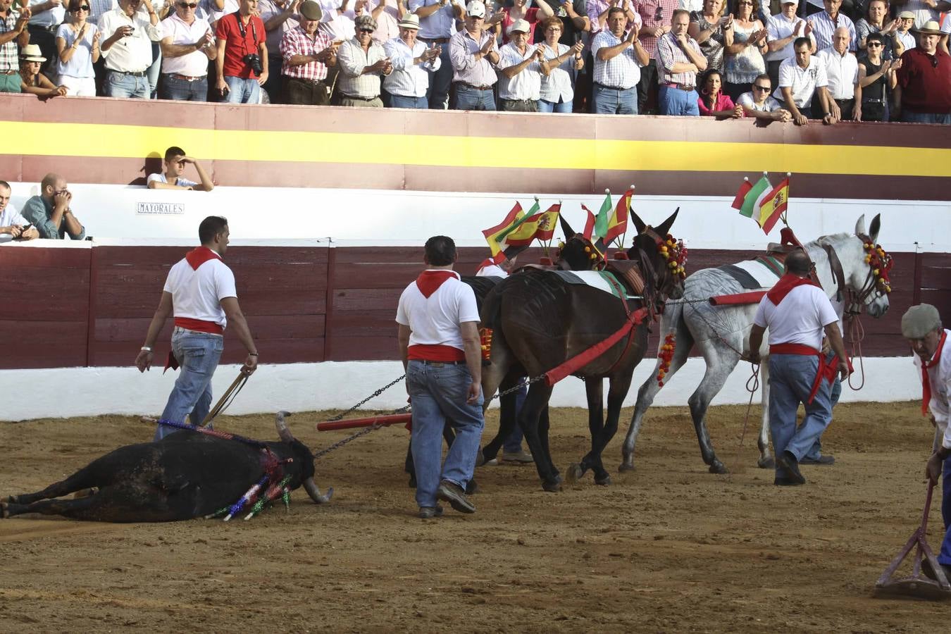 Pablo Hermoso de Mendoza, Diego Ventura y Andrés Romero entusiasman en Zafra