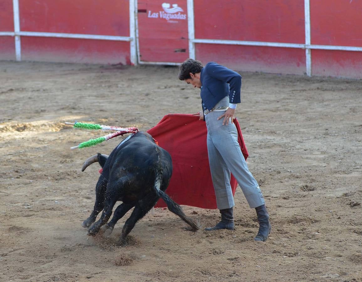 Festival benéfico en Las Vaguadas