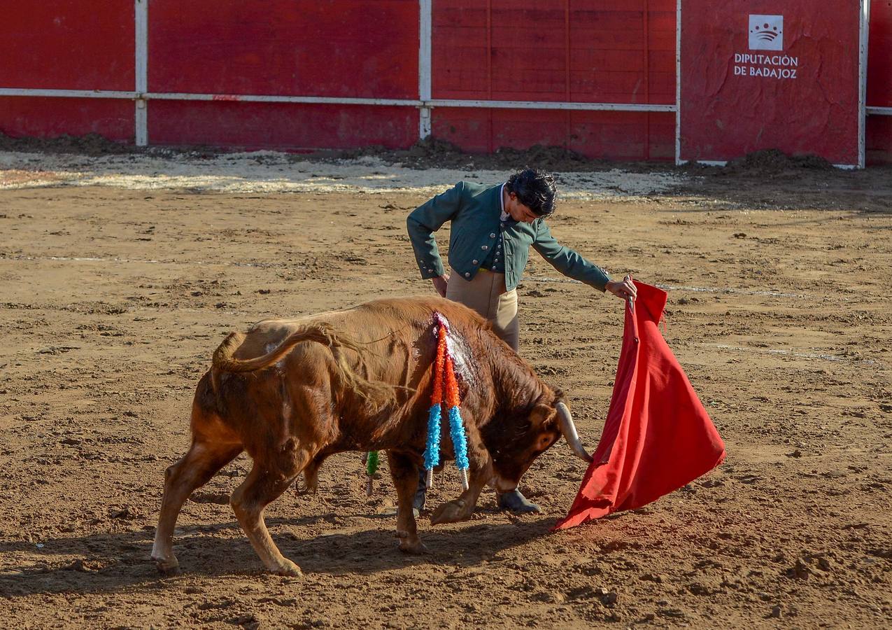 Festival benéfico en Las Vaguadas