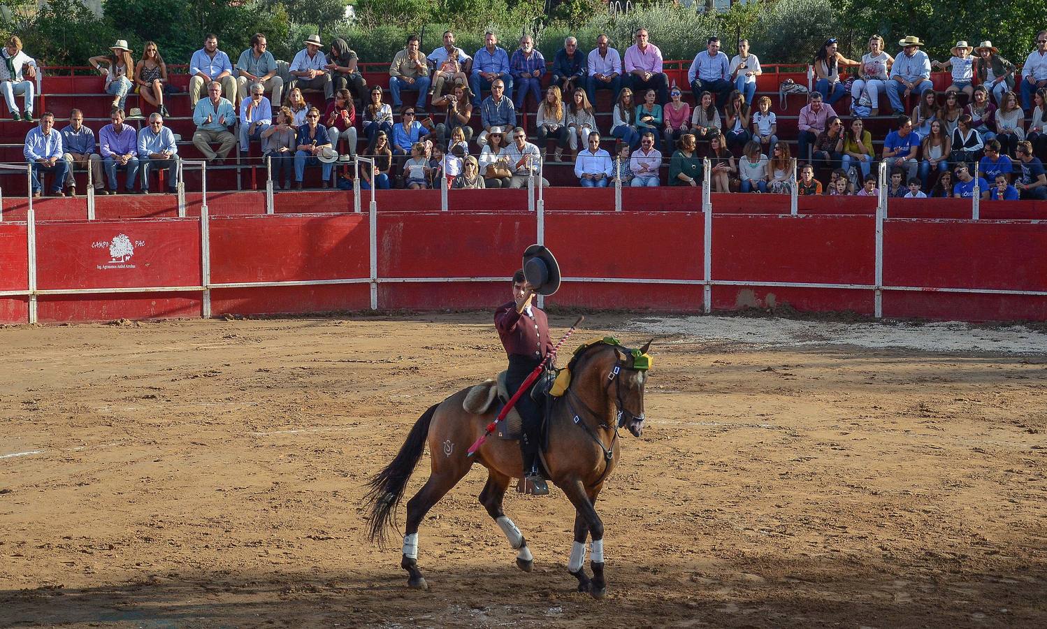 Festival benéfico en Las Vaguadas