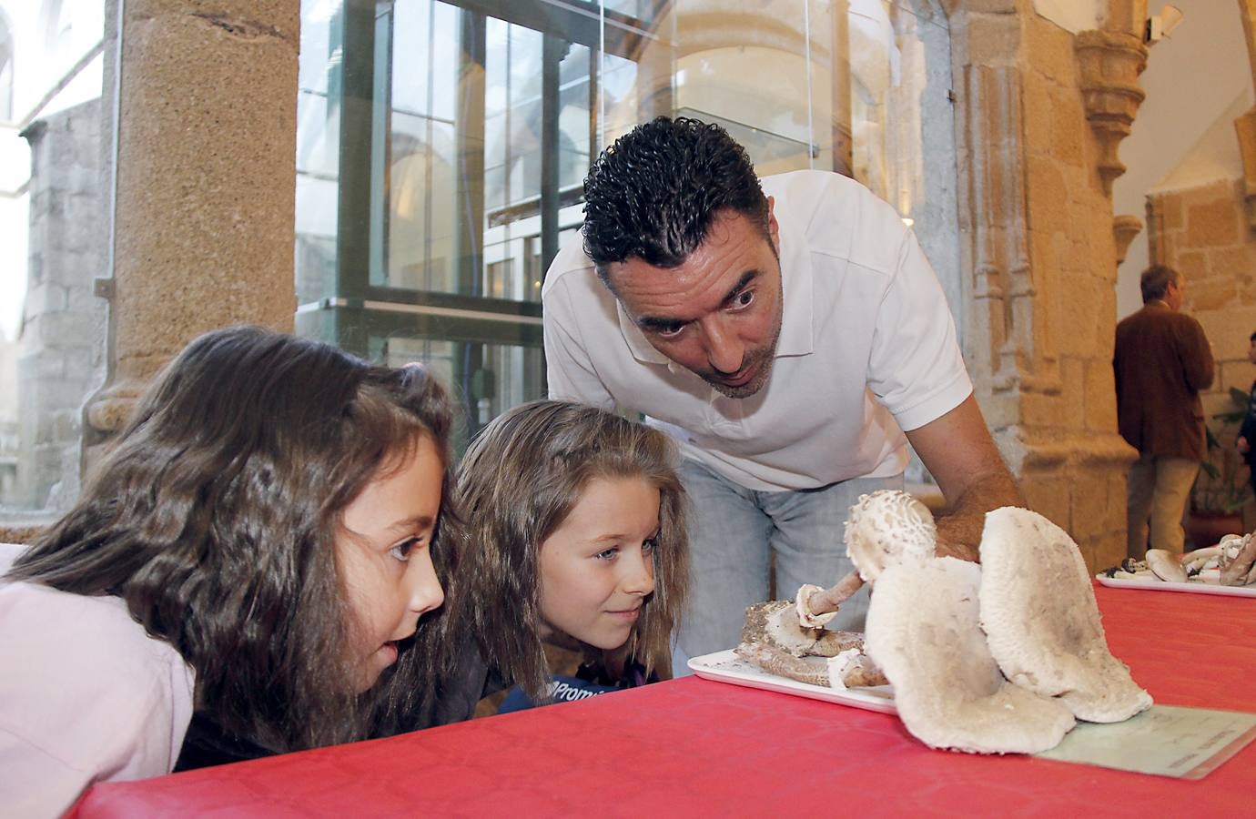 Comienzan los Lunes Micológicos en Cáceres