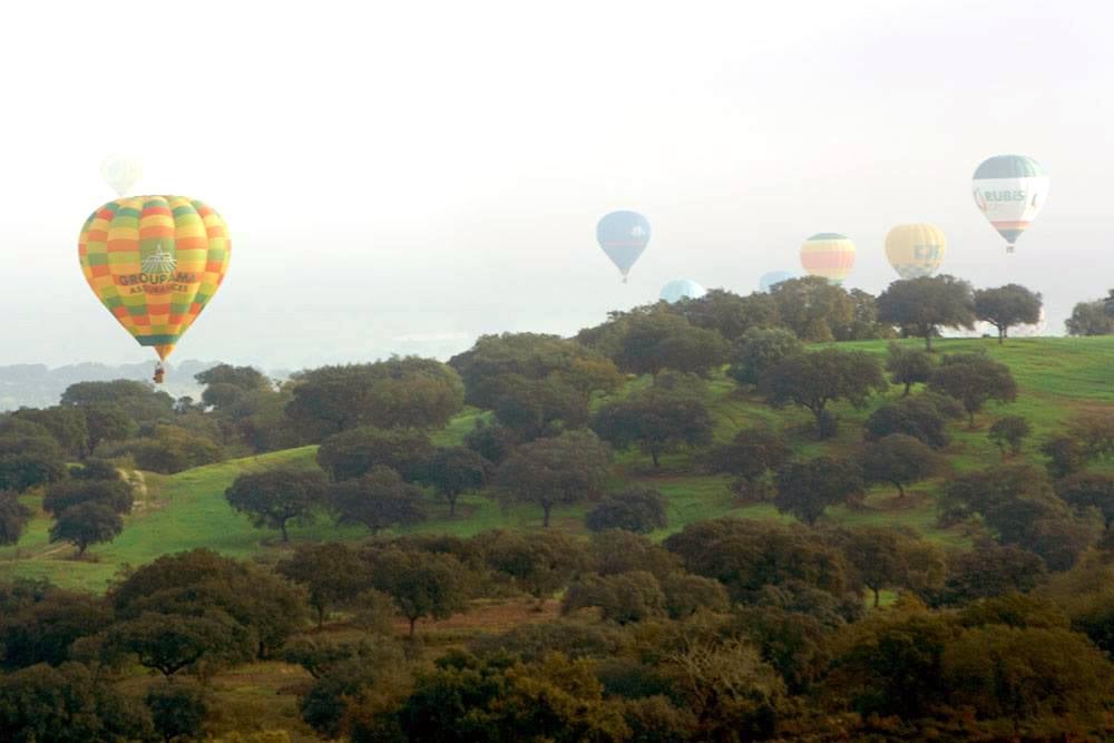 18 Festival Internacional de Globo