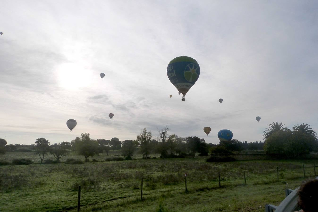 18 Festival Internacional de Globo