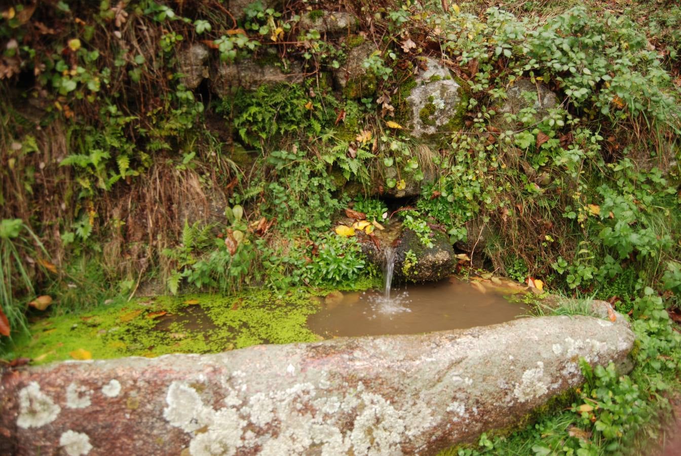 Embrujados por el encanto otoñal del Ambroz