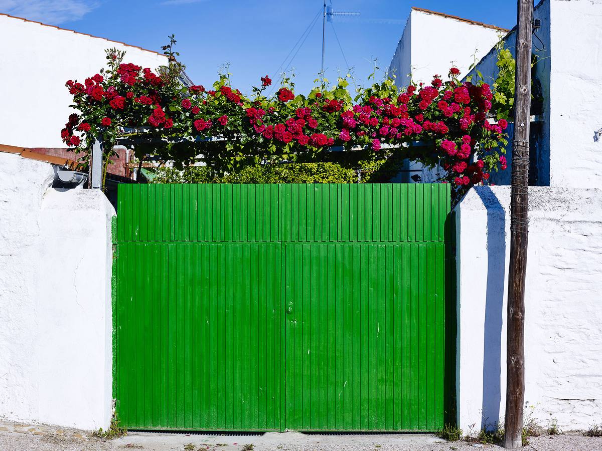Un vergel hasta la entrada de las cocheras