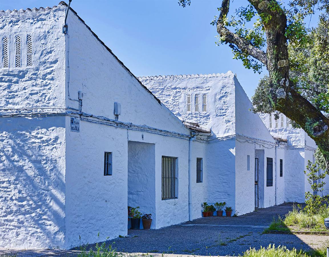 Casas de la Plaza de la Isla
