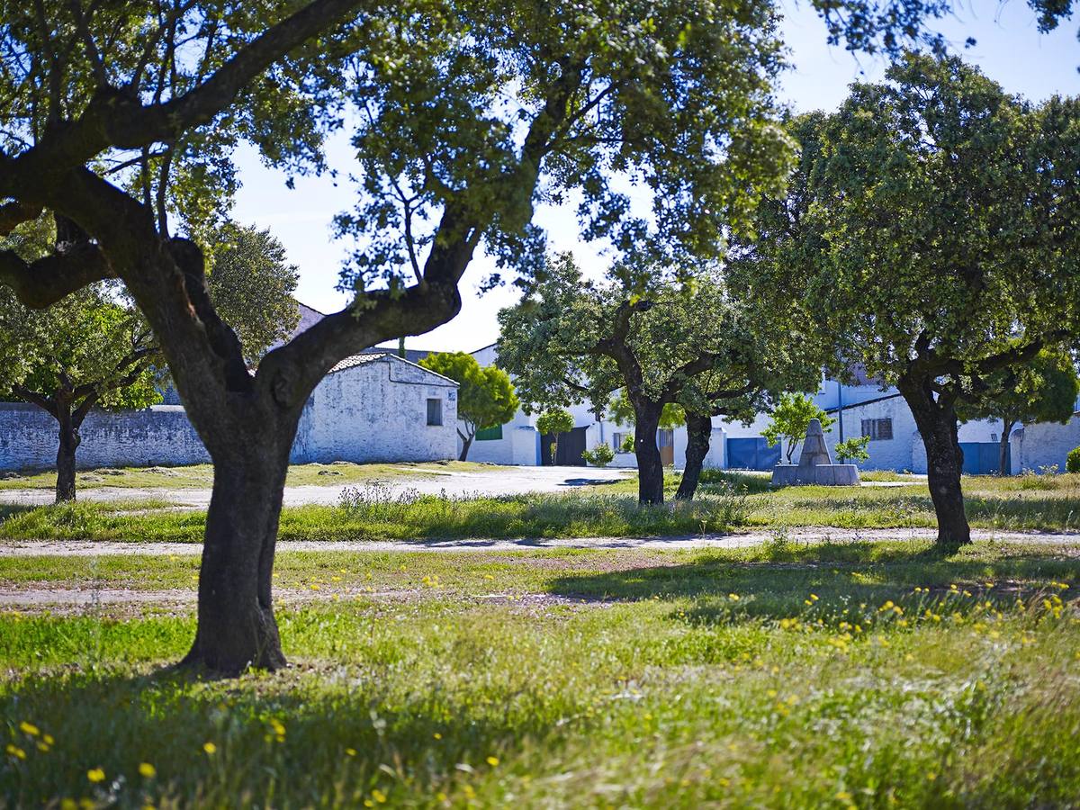 Paseando por Vegaviana