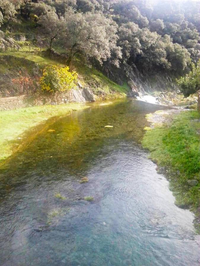 Las lluvias otoñales dan fuerza al Chorrituelo de Ovejuela