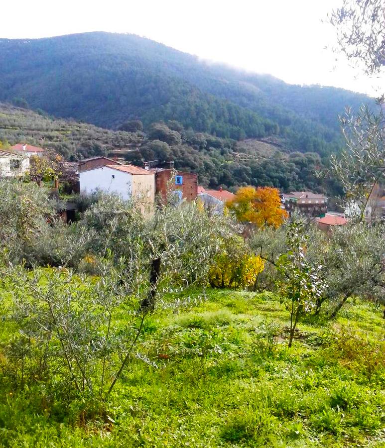 Las lluvias otoñales dan fuerza al Chorrituelo de Ovejuela