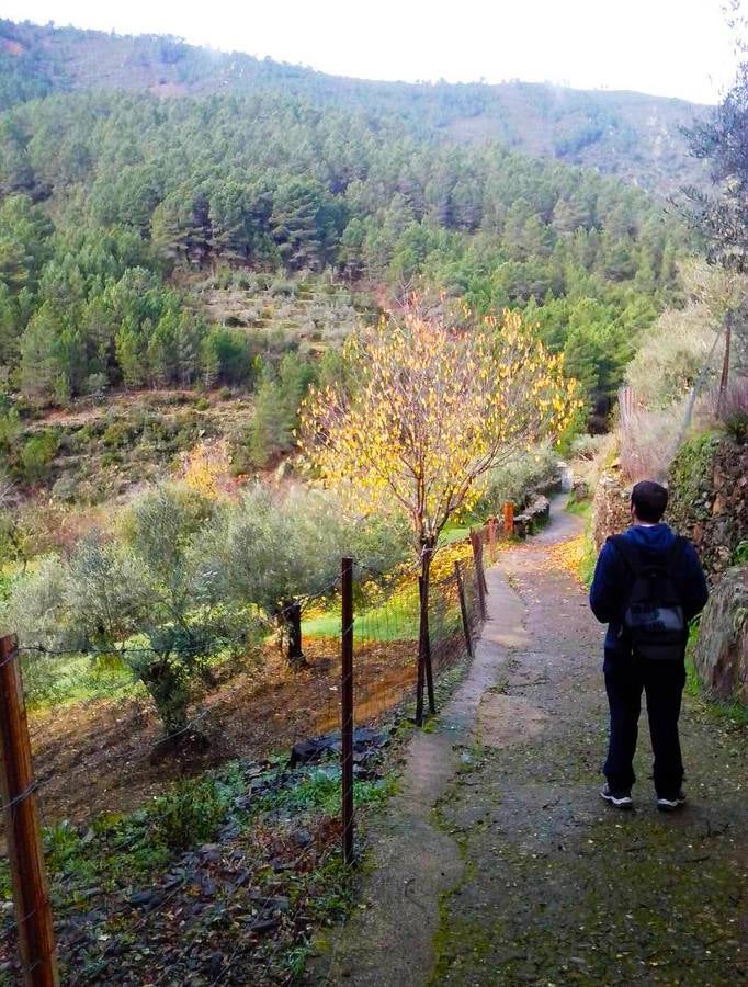 Las lluvias otoñales dan fuerza al Chorrituelo de Ovejuela