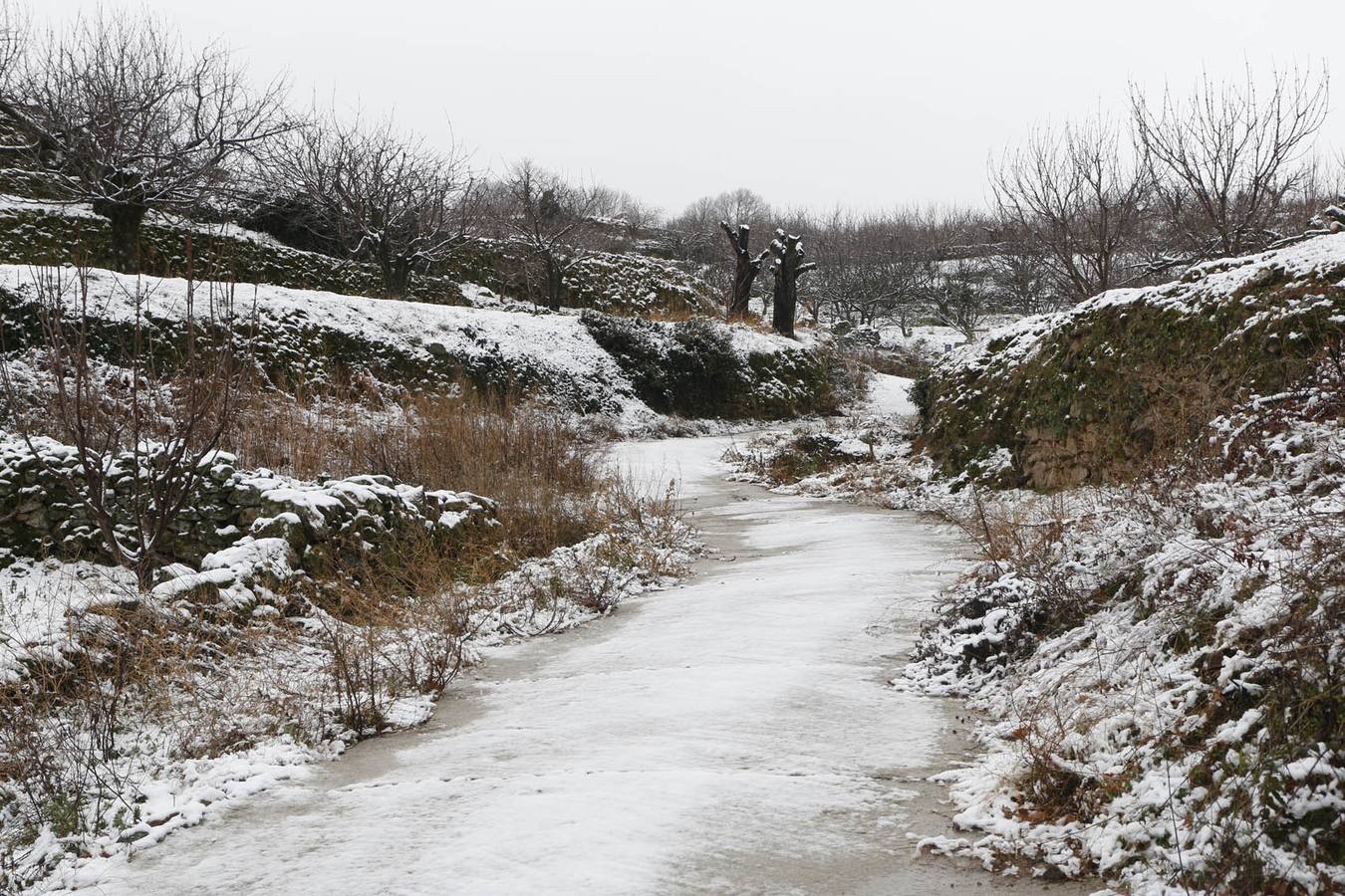 Domingo, 18 de enero: La primera nevada en Extremadura dejó cortada la carretera CC-102 en el Puerto de Honduras (Cáceres), en el municipio de Piornal, por la acumulación de nieve, El corte a la circulación se produjo entre los kilómetros 5 y 20 de la vía.También por nieve, había ayer dificultades entre Piornal y Garganta la Olla. Fotografia: Andy Solé