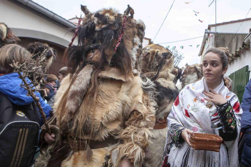 Las Carantoñas recorren Acehúche