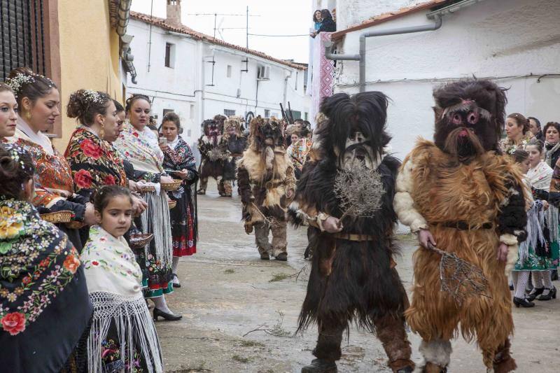 Las Carantoñas recorren Acehúche
