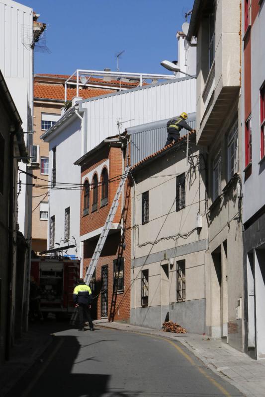 Efectos del temporal en Plasencia